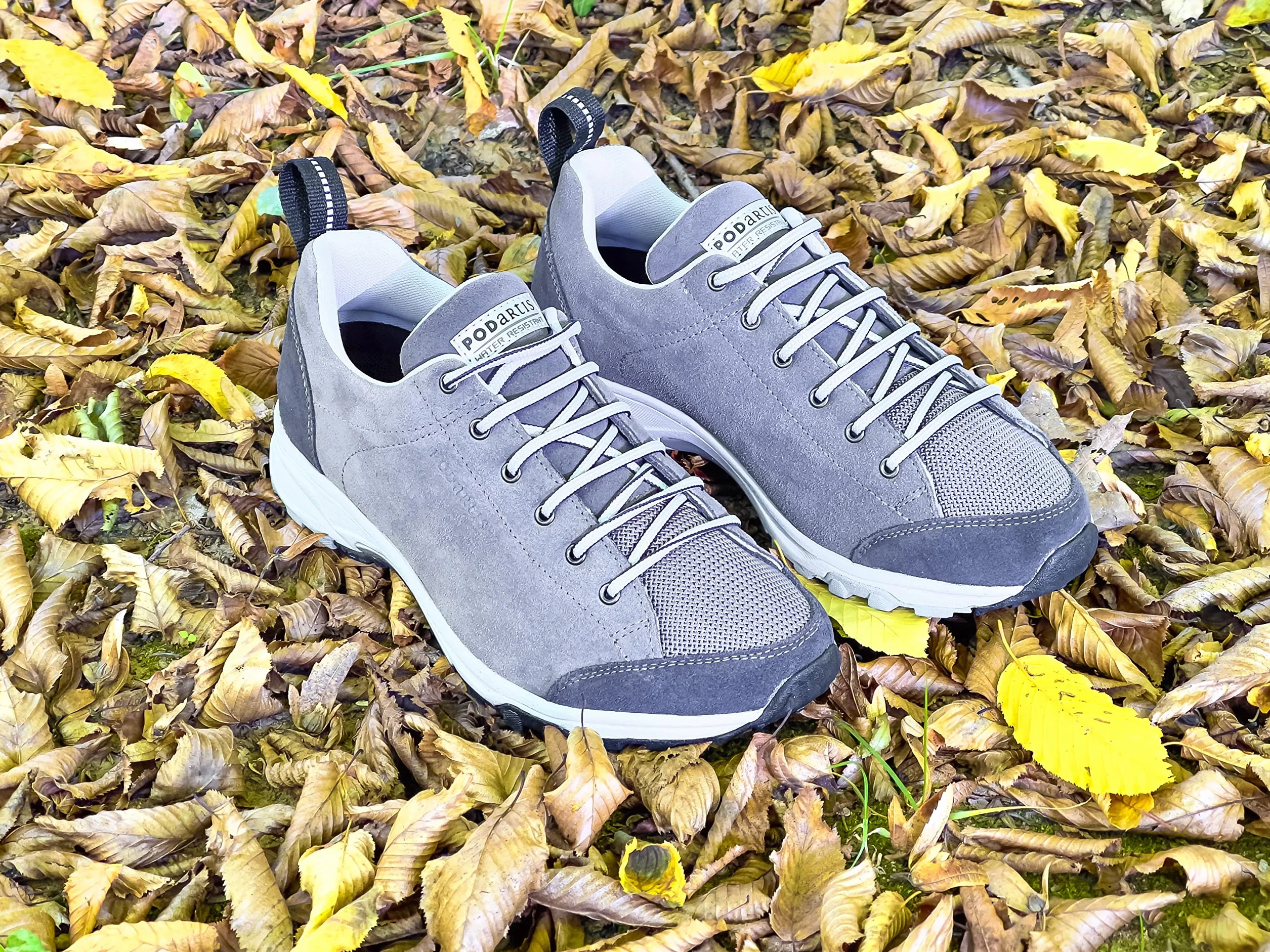 Podartis Zapato Freedom Evo WR Grey