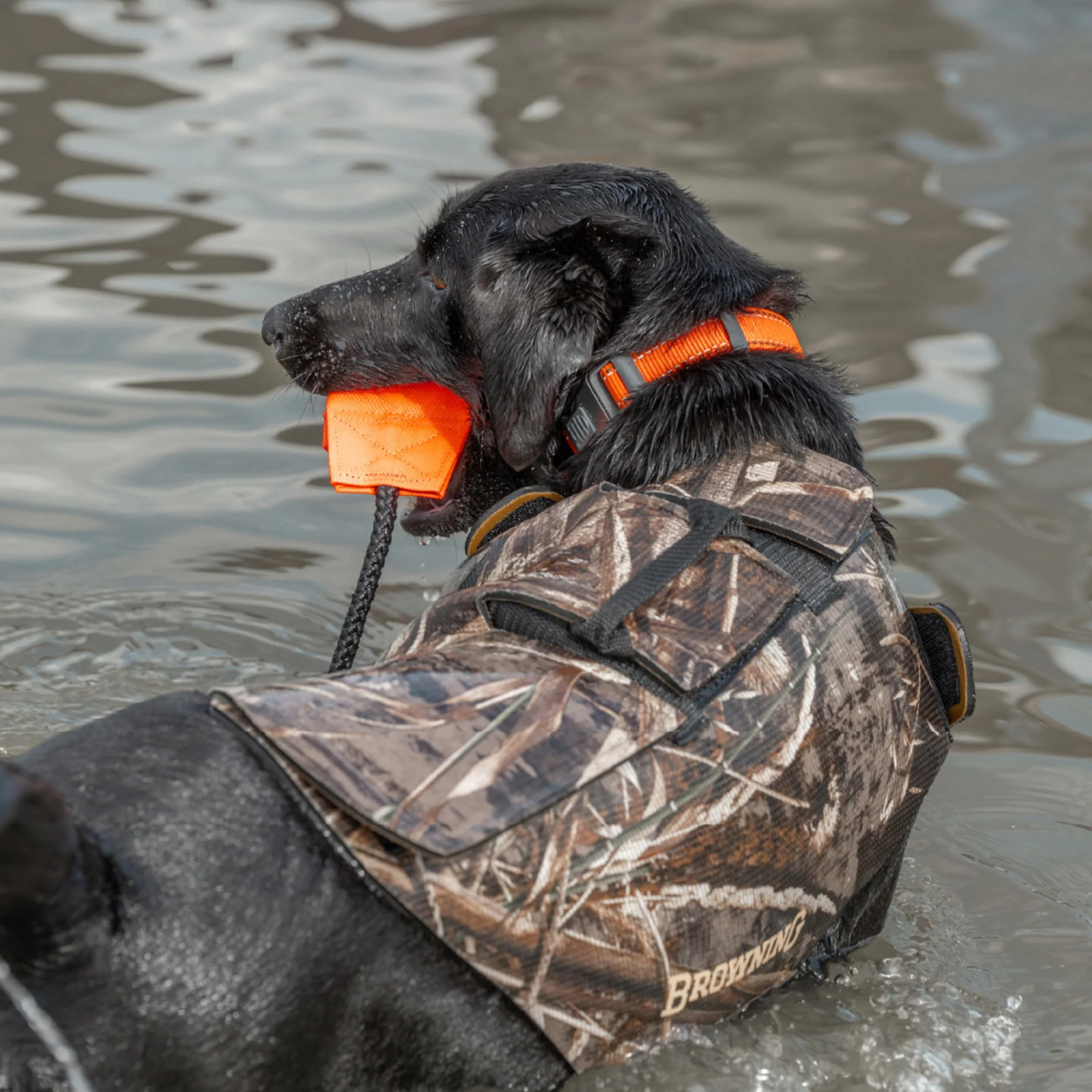 Browning Realtree MAX-5 Chaleco de Neopreno para Perro 5 mm Talla L