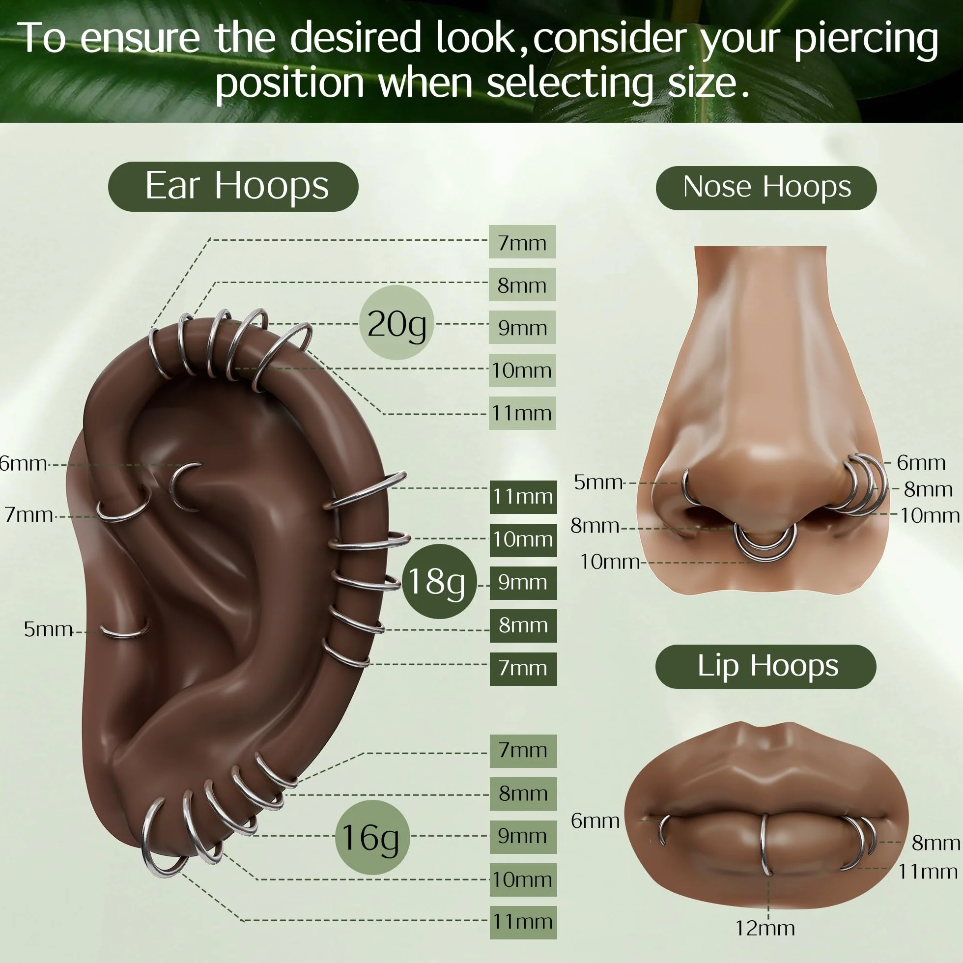 BodyBonita Piercing Nariz Aros con Bisagra 316L Acero Quirúrgico sin Costuras Septum Labio Cartílago Hélix Daith Caracola Trago Torre