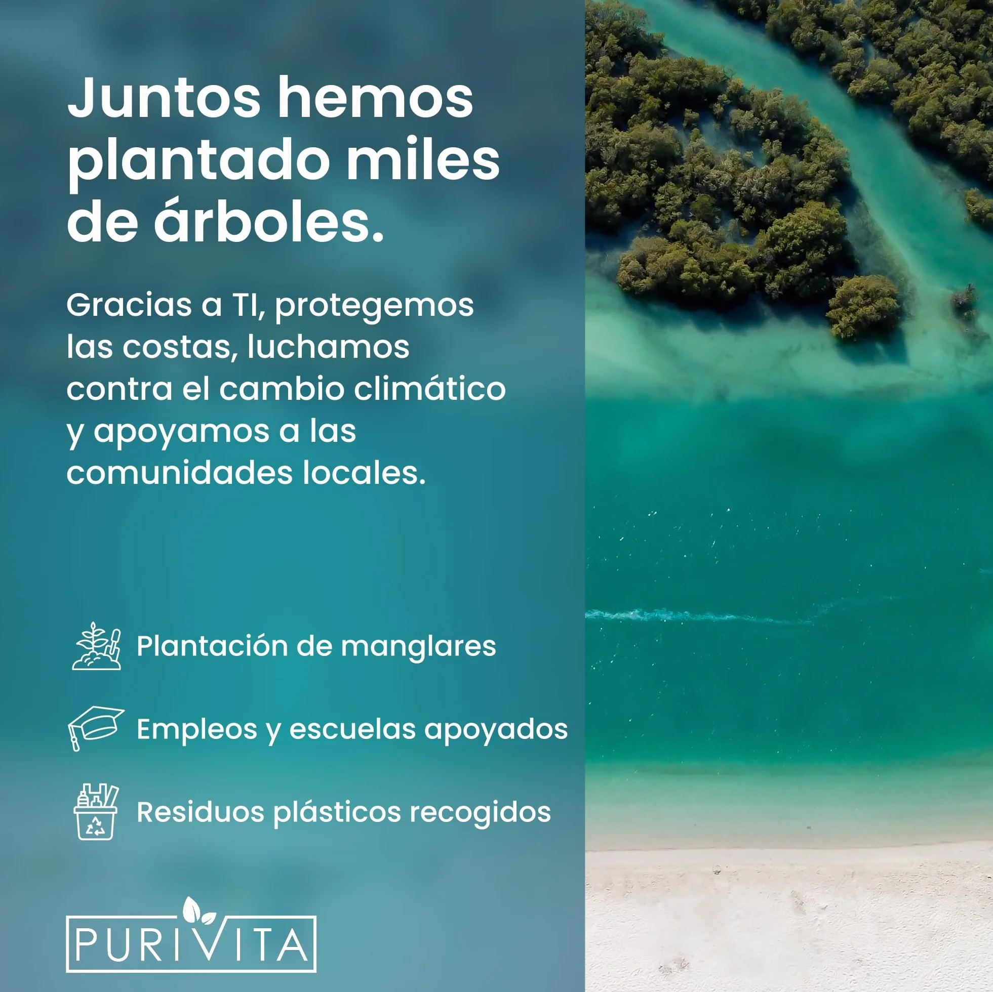 PURIVITA® Universale Liquido para Ultrasonidos Limpieza 500ML - Limpiador Ultrasónico - Ultrasonic Cleaner