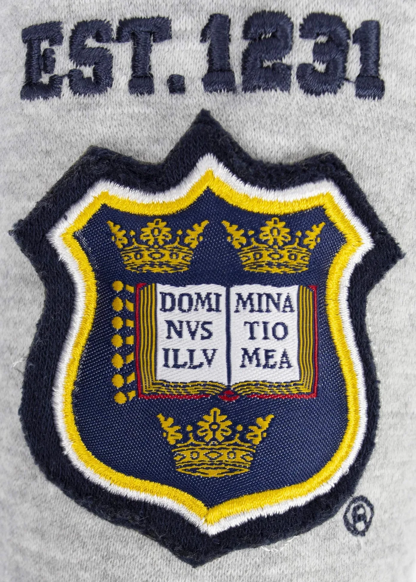 Oxford University OU129 - Sudadera con capucha y cremallera para niños, color gris
