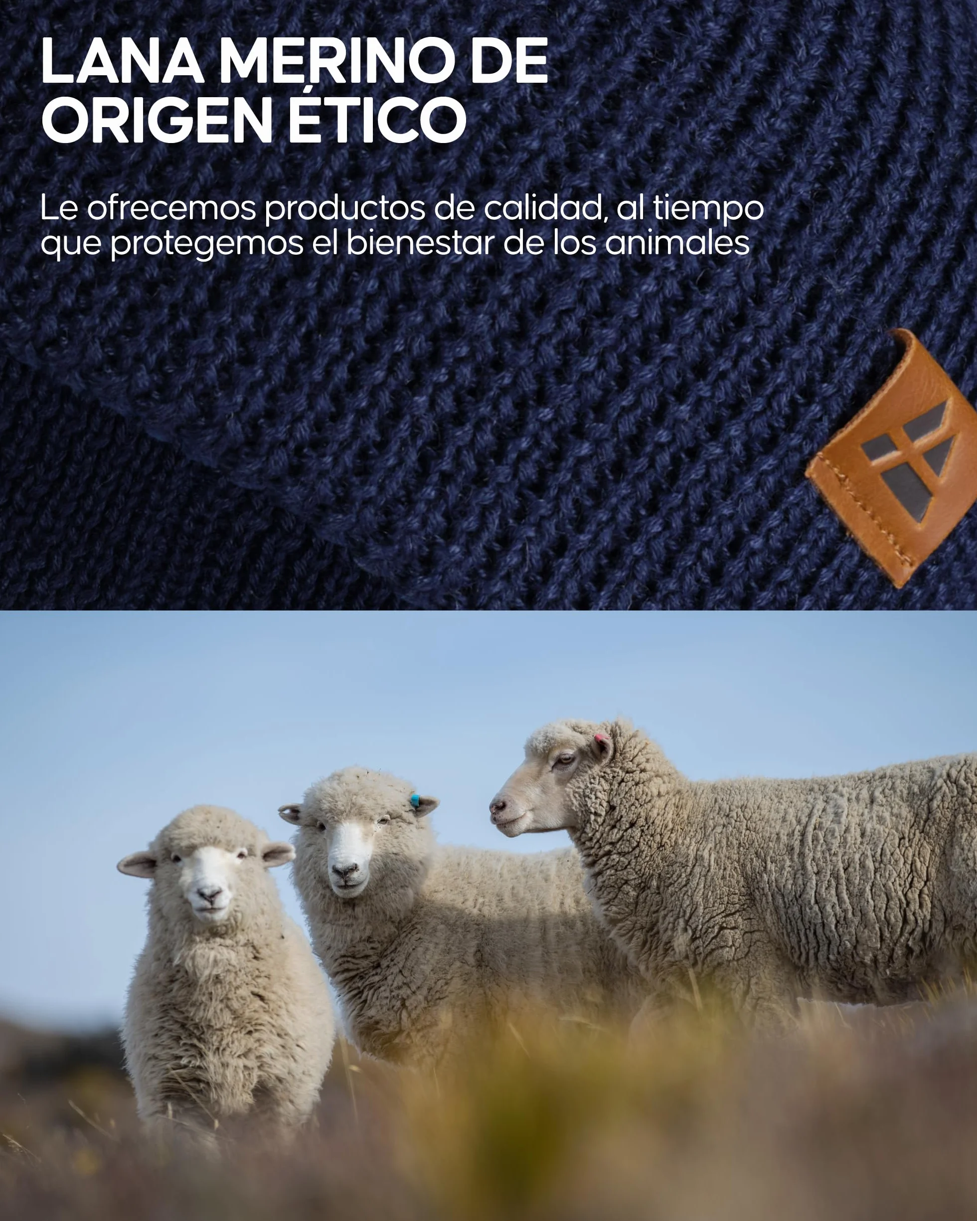 DANISH ENDURANCE Gorro Invierno Niños Lana Merino Forro Polar Unisex