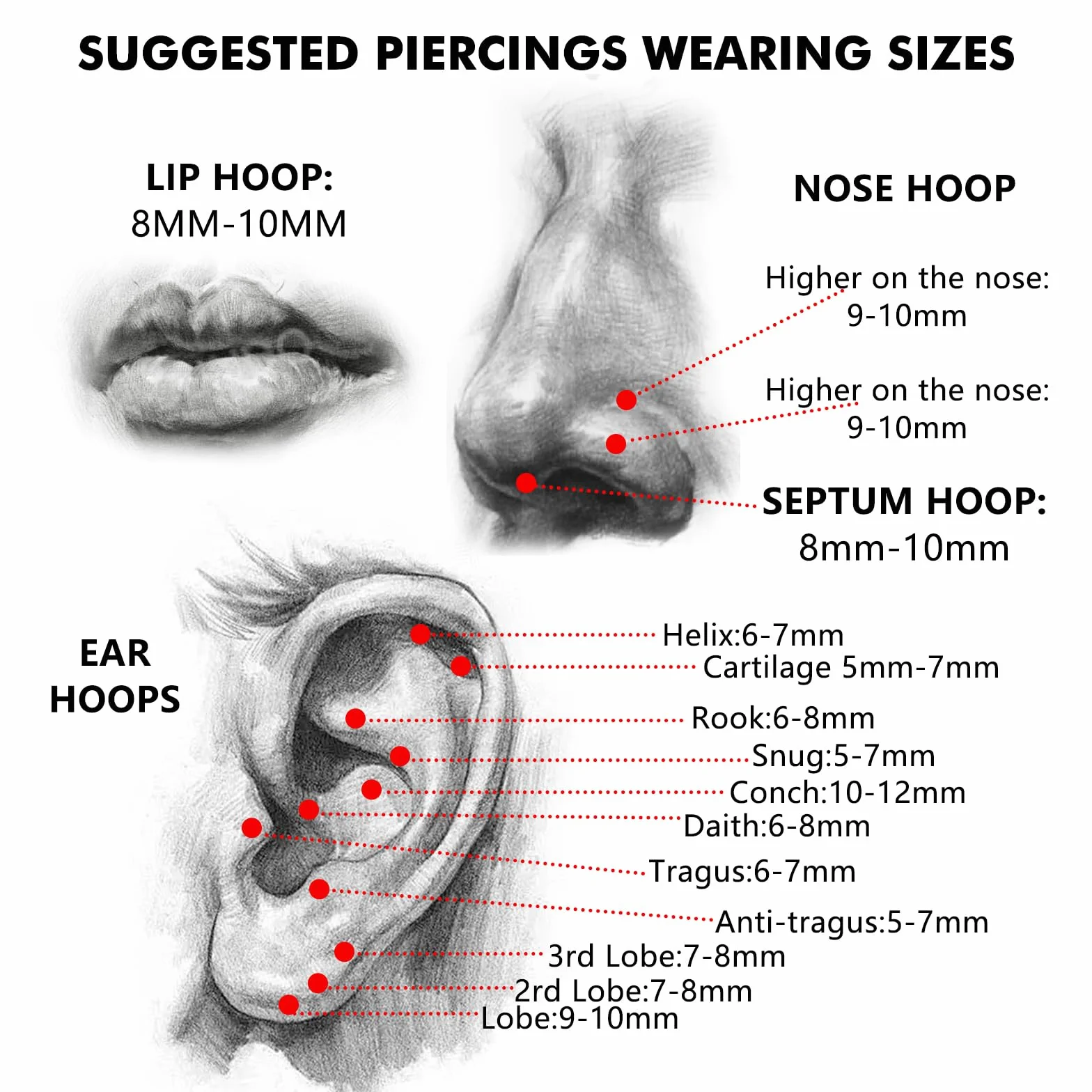 Piercing Nariz Aro G23 Titanio Pendientes Nostril Tragus Septum Helix Daith 6MM 8MM 10MM 12MM 16G 18G 20G