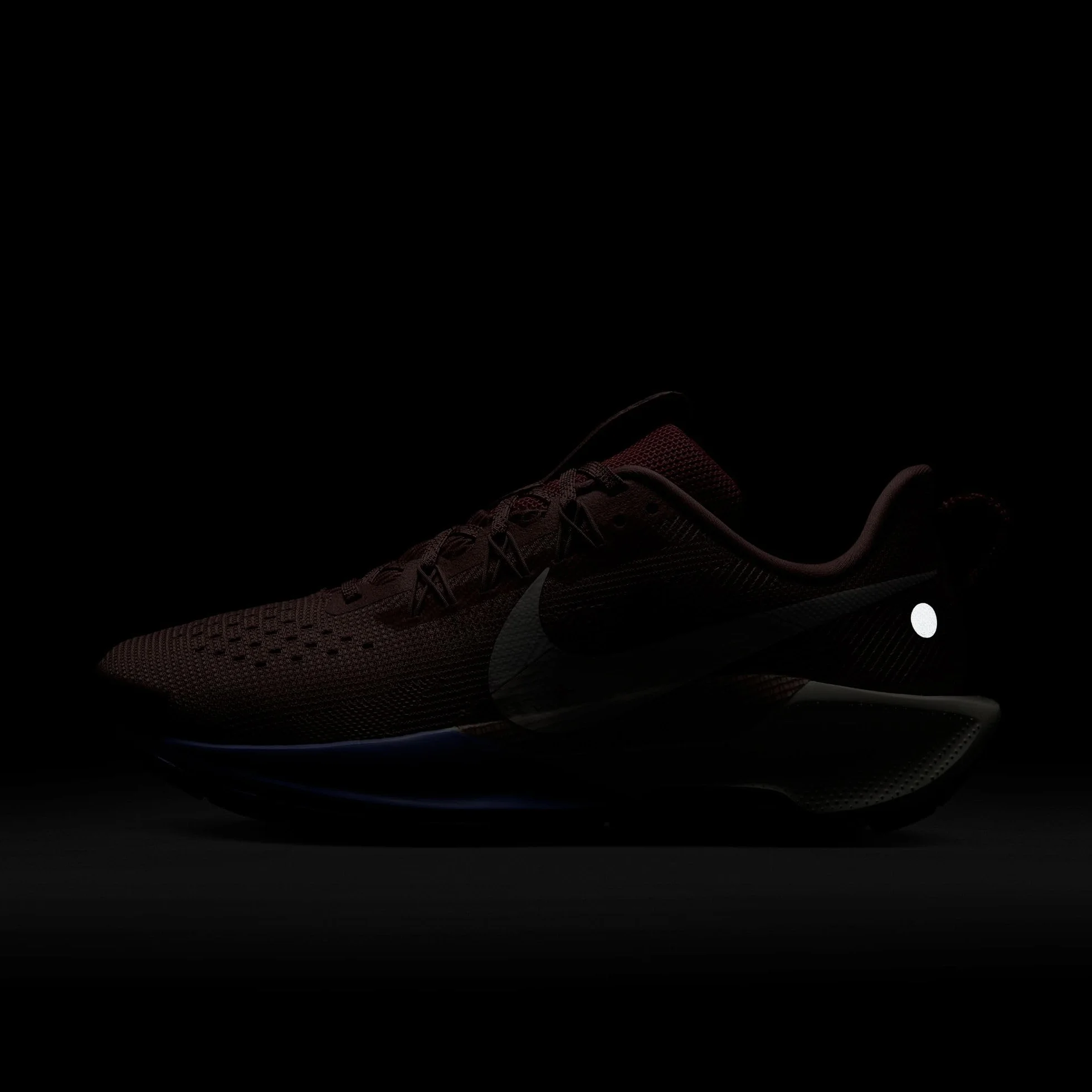 Nike Pegasus Trail 5 Zapatillas de Trail Running Mujer