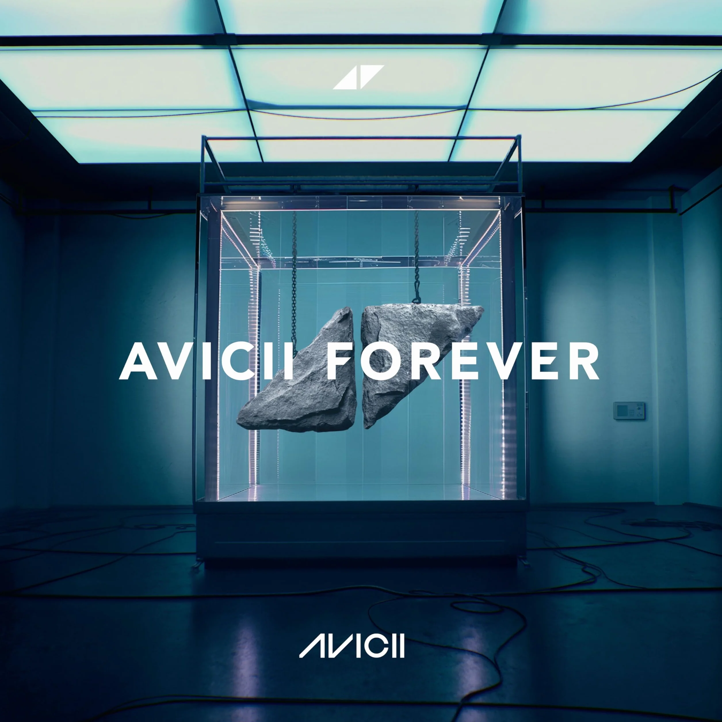 Avicii Forever