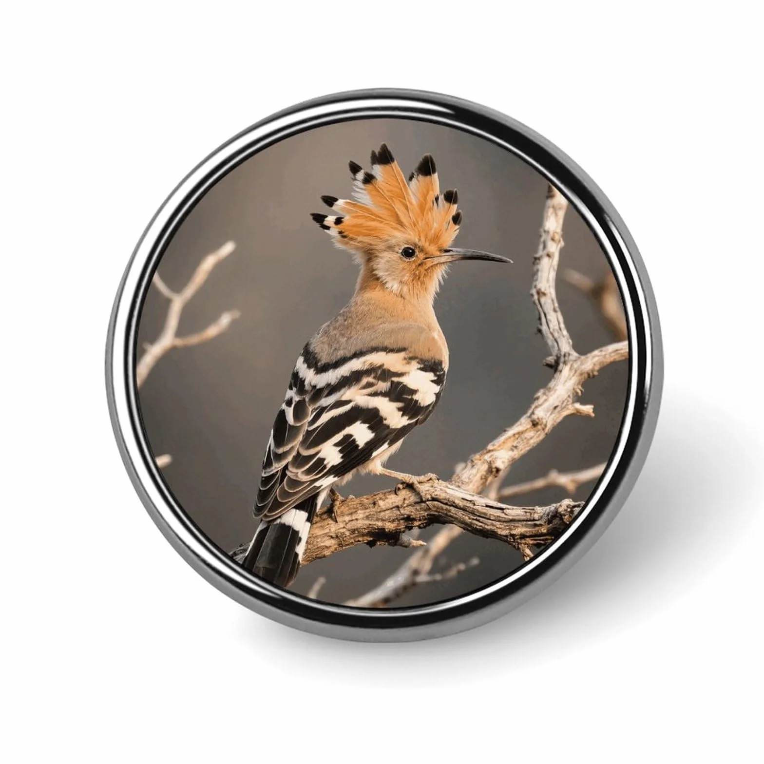 Pines de solapa de abubilla personalizados de 1 pulgada para trajes, broches divertidos para hombres y mujeres, insignias vintage para bolsos, chaquetas, mochilas, sombreros, botones, colección de in